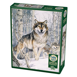 Cobble Hill: Second Glance | 1000 Piece Puzzle