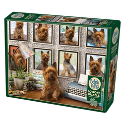 Cobble Hill: Yorkies Are My Type | 1000 Piece Puzzle