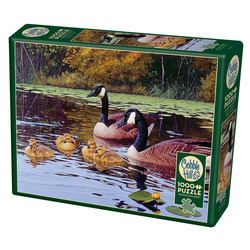 Cobble Hill: Platts Pond | 1000 Piece Puzzle