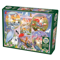 Cobble Hill: Waterbird Magic | 1000 Piece Puzzle